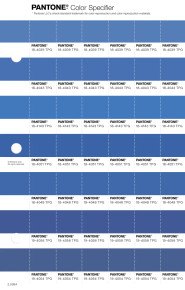 PANTONE® USA | Pantone 18-4039 TPG Regatta