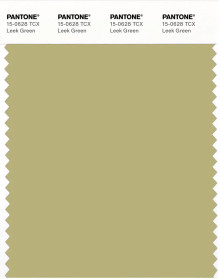 PANTONE® USA | Pantone 15-0628 TCX Leek Green