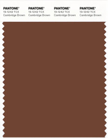 PANTONE® APAC | Pantone 19-1242 TCX Cambridge Brown