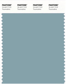 PANTONE® USA | Pantone 16-4411 TCX Tourmaline