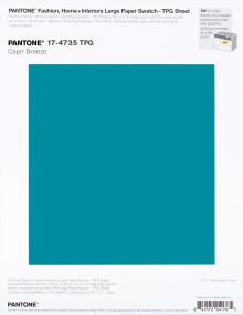 panton2017ページ⭐︎15点 PANTONE® APAC | Pantone 17-4735 TPG Capri Breeze