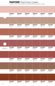 Pantone Plus Series カラーチャート　色見本 PANTONE® USA | Pantone 7522 C