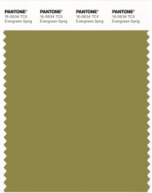 PANTONE® USA | Pantone 16-0634 TCX Evergreen Sprig