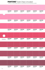 PANTONE® USA | Pantone 1925 U