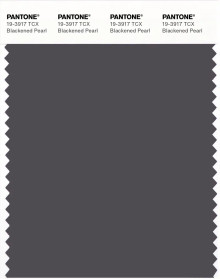 カラー剤 PANTONE® USA | Pantone 19-3917 TCX Blackened Pearl