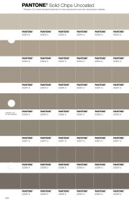 PANTONE® USA | Pantone 2326 U