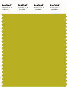 PANTONE® USA | Pantone 15-0548 TCX Citronelle