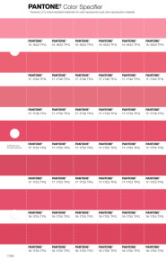PANTONE® EU | Pantone 17-1755 TPG Paradise Pink