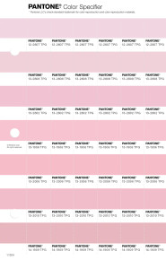 PANTONE® USA | Pantone 13-1906 TPG Rose Shadow