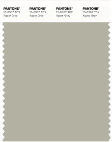 PANTONE® UK | Pantone 15-6307 TCX Agate Gray