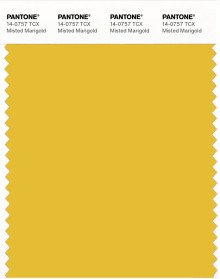 PANTONE® EU | Pantone 14-0757 TCX Misted Marigold