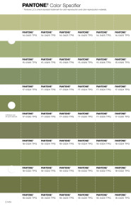 PANTONE® USA | Pantone 18-0324 TPG Calliste Green