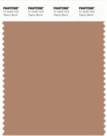 PANTONE® APAC | Pantone 17-1225 TCX Tawny Birch