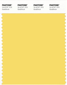 PANTONE® USA | Pantone 12-0737 TCX Goldfinch