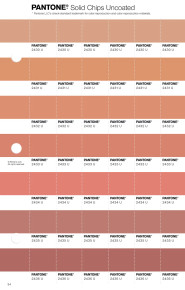 PANTONE® USA | Pantone 2433 U