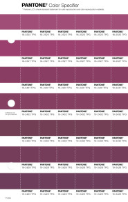 PANTONE® UK | Pantone 19-2429 TPG Plum Caspia