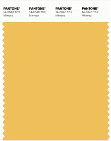 PANTONE® APAC | Pantone 14-0848 TCX Mimosa