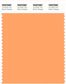 PANTONE® USA | Pantone 15-1245 TCX Mock Orange