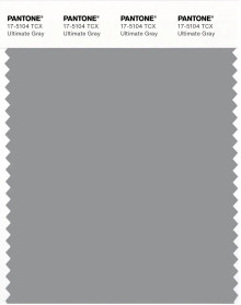 PANTONE® USA | Pantone 17-5104 TCX Ultimate Gray