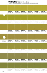 PANTONE® USA | Pantone 16-0541 TPG Green Envy