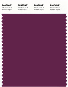 PANTONE® APAC | Pantone 19-2429 TCX Plum Caspia