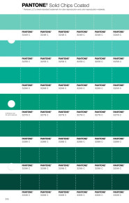 【未使用品】PANTONEソリッドコーテッド　色見本帳 PANTONE® USA | Pantone 3248 C