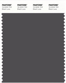 PANTONE® APAC | Pantone 19-0204 TSX Black Lava