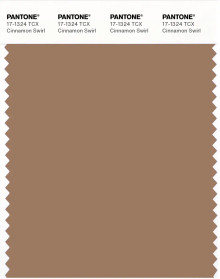 PANTONE® USA | Pantone 17-1324 TCX Cinnamon Swirl