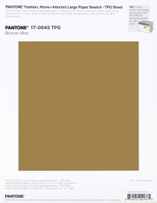 PANTONE® USA | Pantone 17-0843 TPG Bronze Mist