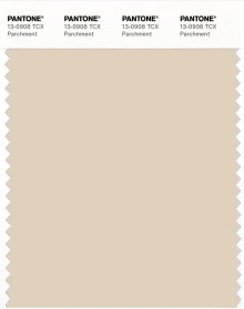 PANTONE® APAC | Pantone 13-0908 TCX Parchment