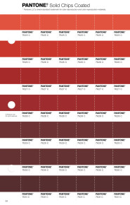 PANTONE® USA | Pantone 7628 C