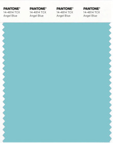 PANTONE® UK | Pantone 14-4814 TCX Angel Blue