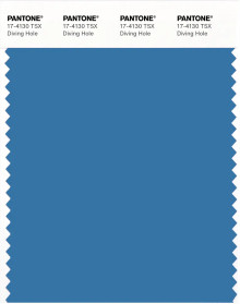 PANTONE® USA | Pantone 17-4130 TSX Diving Hole
