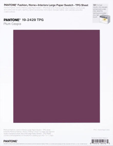 PANTONE® UK | Pantone 19-2429 TPG Plum Caspia