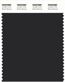 PANTONE® APAC | Pantone 19-3911 TCX Black Beauty