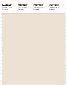 PANTONE® APAC | Pantone 12-0601 TCX Eggnog