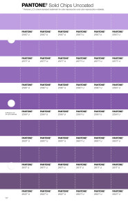 PANTONE® USA | Pantone 2607 U