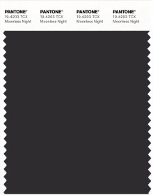 PANTONE® USA | Pantone 19-4203 TCX Moonless Night
