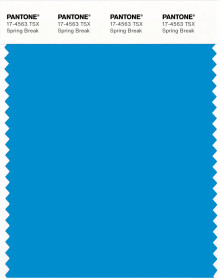 PANTONE® USA | Pantone 17-4563 TSX Spring Break
