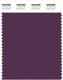PANTONE® APAC | Pantone 19-3218 TCX Plum Purple