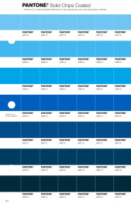 PANTONE® USA | Pantone 298 C