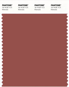 ⭐︎⁺ ✴︎ PANTONE® USA | Pantone 18-1438 TCX Marsala