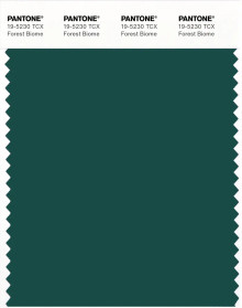 PANTONE® USA | Pantone 19-5230 TCX Forest Biome