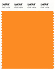 おれんじ PANTONE® USA | Pantone 15-1157 TCX Flame Orange