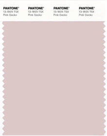 PANTONE® APAC | Pantone 13-1805 TSX Pink Gecko