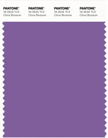 PANTONE® APAC | Pantone 18-3634 TCX Chive Blossom