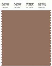 PANTONE® APAC | Pantone 17-1422 TCX Raw Umber