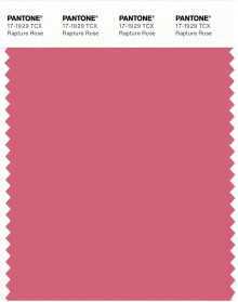 PANTONE® EU | Pantone 17-1929 TCX Rapture Rose
