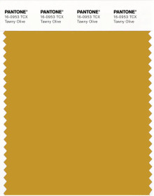 PANTONE® USA | Pantone 16-0953 TCX Tawny Olive