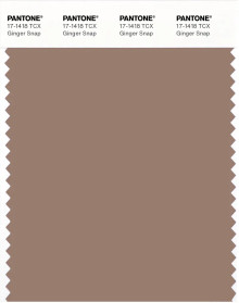 PANTONE® APAC | Pantone 17-1418 TCX Ginger Snap